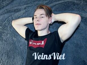 VeinsViet