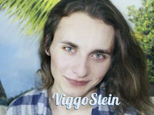 ViggoStein