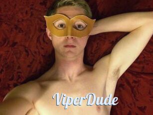 ViperDude