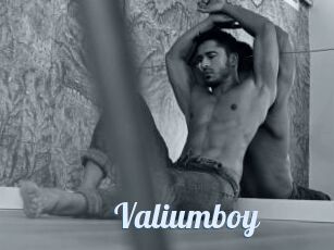 Valiumboy