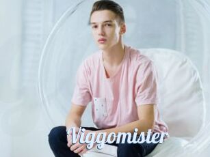 Viggomister