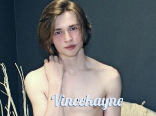 Vincekayne