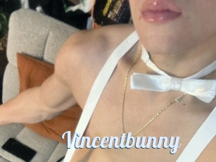 Vincentbunny