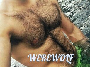 WEREWOLF