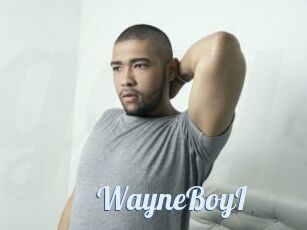 WayneBoyI