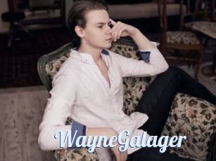 WayneGalager