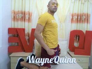 WayneQuinn