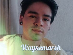 Waynemarsh