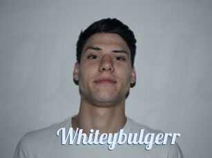 Whitey_bulgerr