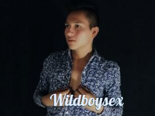 Wildboysex