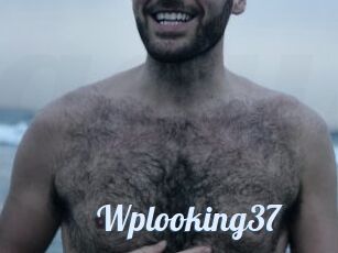 Wplooking37