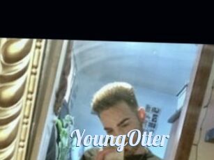 YoungOtter