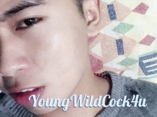 YoungWildCock4u