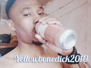 Yellowbonedick2010