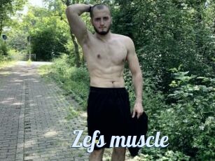 Zefs_muscle