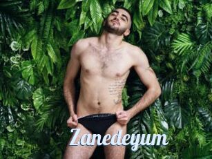 Zanedeyum